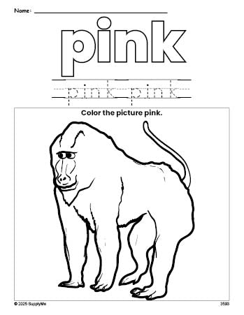 Free baboon color pink coloring page and color worksheet, pink worksheet for preschoolers to learn colors, printable PDF