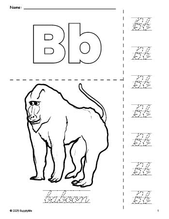 Free printable baboon coloring page and cursive letter tracing worksheet, letter b worksheet for preschool, pre-k, and kindergarten, PDF