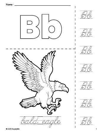 Free printable bald eagle Fourth of July coloring page and cursive letter tracing worksheet, letter b worksheet for preschool, pre-k, and kindergarten, PDF