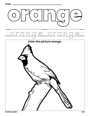 Free cardinal color orange coloring page and color worksheet, orange worksheet for preschoolers to learn colors, printable PDF