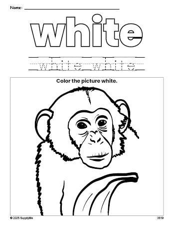 Free chimpanzee color white coloring page and color worksheet, white worksheet for preschoolers to learn colors, printable PDF