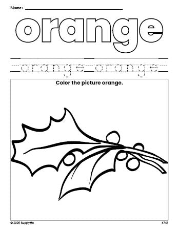 Free Christmas holly color orange coloring page and color worksheet, orange worksheet for preschoolers to learn colors, printable PDF