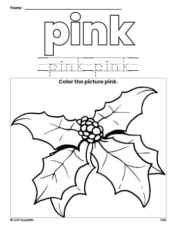 Free Christmas holly color pink coloring page and color worksheet, pink worksheet for preschoolers to learn colors, printable PDF