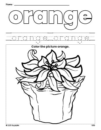 Free Christmas poinsettia color orange coloring page and color worksheet, orange worksheet for preschoolers to learn colors, printable PDF