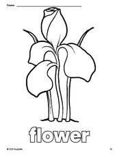 Free printable flower coloring page for preschool, pre-k, and kindergarten, PDF