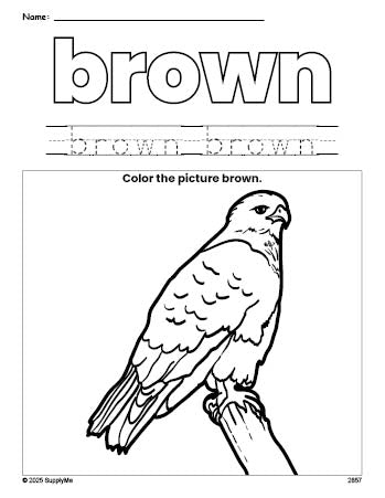 FREE Hawk Color Brown Coloring Page and Color Worksheet, Brown ...