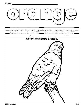 Free hawk color orange coloring page and color worksheet, orange worksheet for preschoolers to learn colors, printable PDF