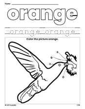 Free humming bird color orange coloring page and color worksheet, orange worksheet for preschoolers to learn colors, printable PDF