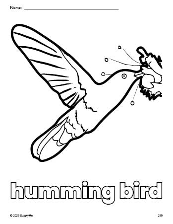 FREE Printable Humming Bird Coloring Page for Preschool, Pre-K, and ...
