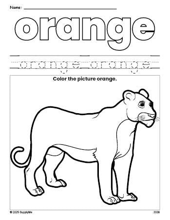 Free lion color orange coloring page and color worksheet, orange worksheet for preschoolers to learn colors, printable PDF