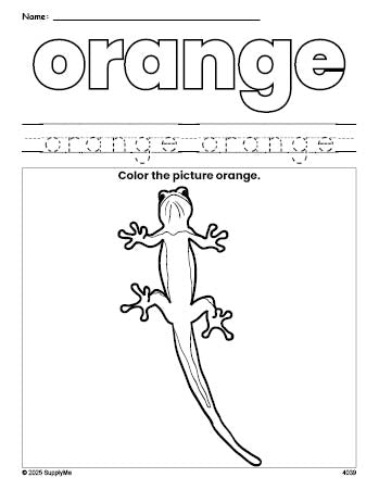 Free lizard color orange coloring page and color worksheet, orange worksheet for preschoolers to learn colors, printable PDF