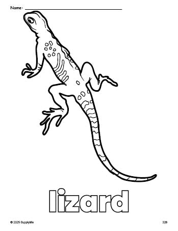 Lizard Drawing And Label