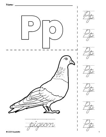 Free printable pigeon coloring page and cursive letter tracing worksheet, letter p worksheet for preschool, pre-k, and kindergarten, PDF