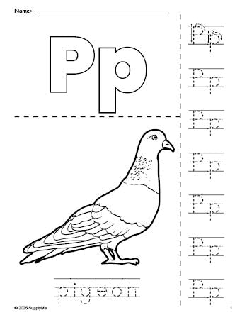 Free printable pigeon coloring page and letter tracing worksheet, letter p worksheet for preschool, pre-k, and kindergarten, PDF