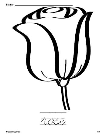Cursive Roses Color Page FREE Printable Rose Coloring Page and Cursive Word Tracing Worksheet ...