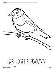 Free printable sparrow coloring page for preschool, pre-k, and kindergarten, PDF