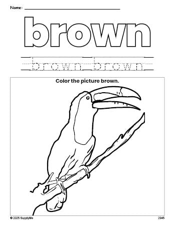 Free tucan color brown coloring page and color worksheet, brown worksheet for preschoolers to learn colors, printable PDF