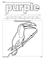 Free tucan color purple coloring page and color worksheet, purple worksheet for preschoolers to learn colors, printable PDF
