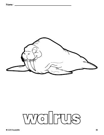 Free printable walrus coloring page for preschool, pre-k, and kindergarten, PDF