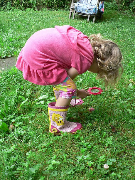 Adventures in Nature Journaling