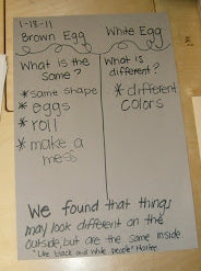 MLK Day Egg Experiment
