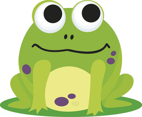 Frog Magnetic Whiteboard Eraser
