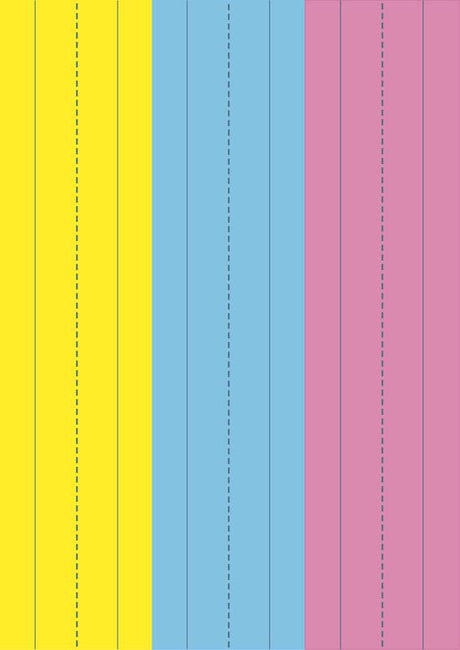 Magnetic Sentence Strips