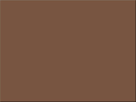 Tru-Ray® Construction Paper, 18" x 24" Warm Brown 