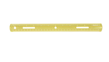 Plastic Ruler 12In