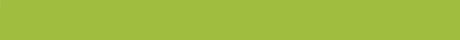 Lime Green Magnetic Magi-Strips