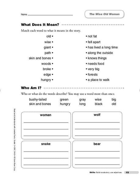 Read & Understand with Leveled Texts, Grade 3