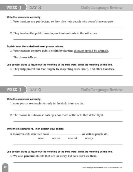 Daily Language Review, Grade 7