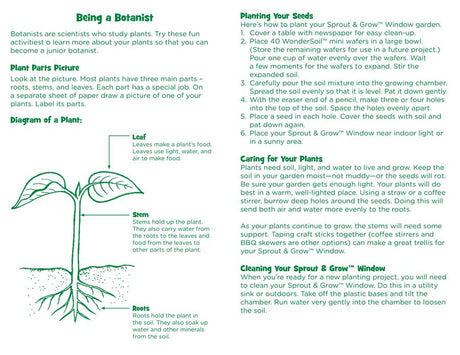 Sprout & Grow Window Gr K & Up