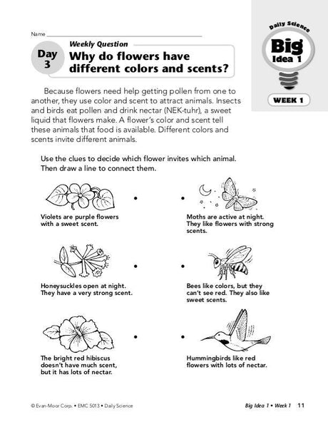 Daily Science, Grade 3