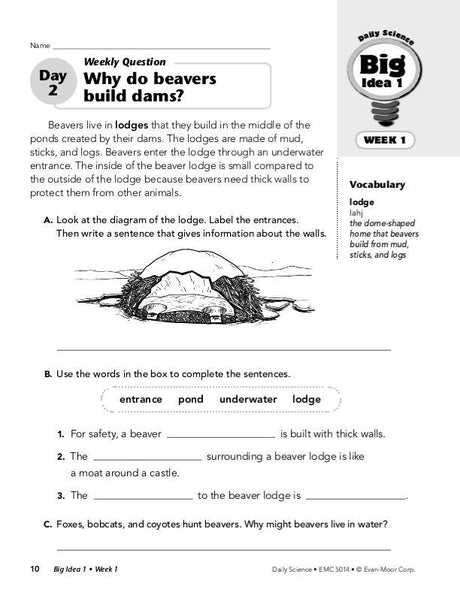 Daily Science, Grade 4