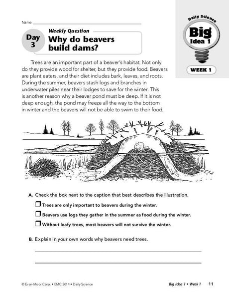 Daily Science, Grade 4