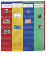 2 & 4-Column Double-Sided Pocket Chart
