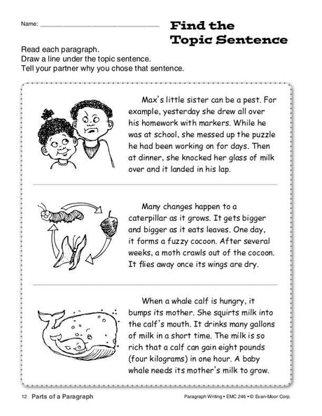 Paragraph Writing