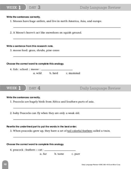 Daily Language Review, Grade 5