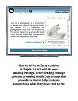 How To Write An Essay Interactive Whiteboard Lessons