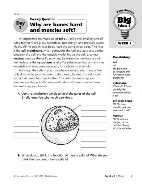 Daily Science, Grade 5