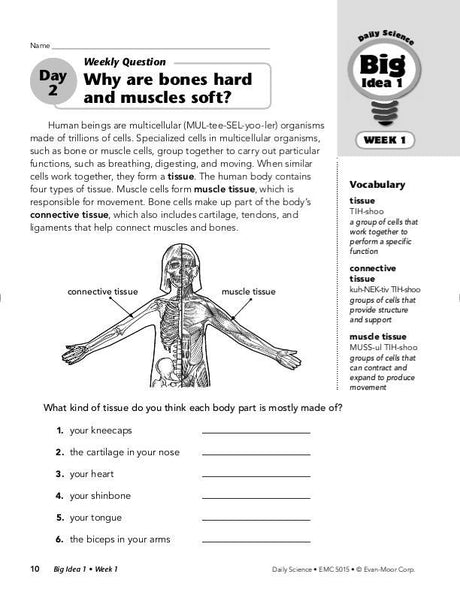 Daily Science, Grade 5