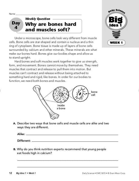 Daily Science, Grade 5