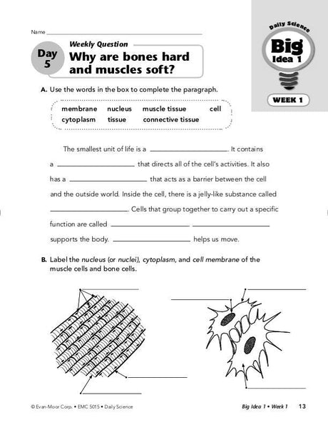 Daily Science, Grade 5