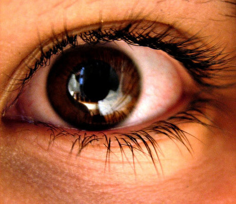 Does Eye Color Affect Peripheral Vision?