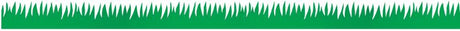 Green Grass Bulletin Board Border