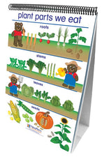 All About Plants Curriculum Mastery® Flip Chart Set - Early Childhood