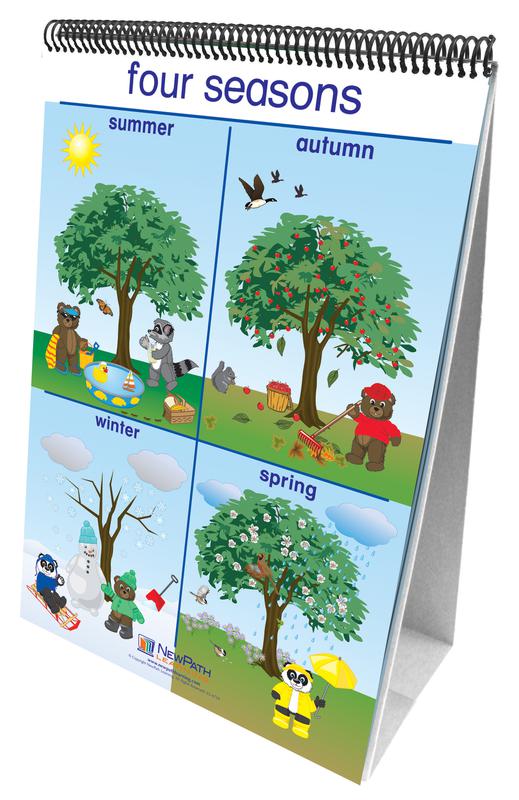 Flip Charts Weather & Sky Early Childhood Science Readiness