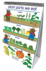 Flip Charts Set Of All 7 Early Childhood Science Readiness