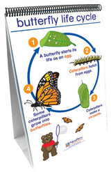 Flip Charts Set Of All 7 Early Childhood Science Readiness